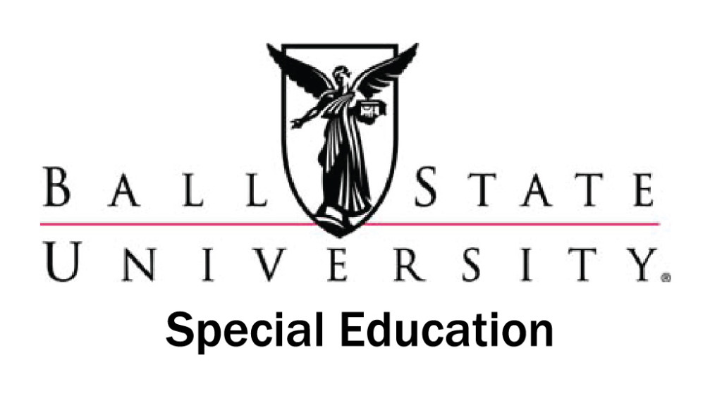 BSU-SE